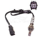 OEX  Oxygen Sensor OOS1117G