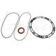 DRIVETECH Pump Leak Kit A44/442 Oem F/Seal