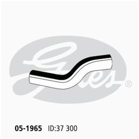 Gates Radiator Hose Lower 05-1965