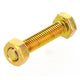 CHAMPION AUTO PARTS Champion Screw & Nut Pack M6 x 30 BM25