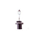 Hella 12V 893 Pg13 Globe 37W CF1237893