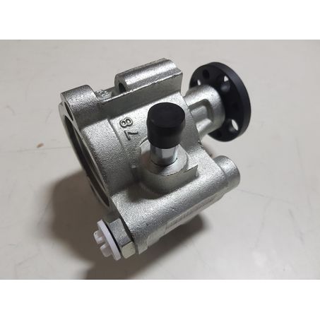 SAS AUTO PARTS SAS New Complete Steering Pump Assembly SP1867