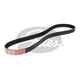 Gates Fan Belt Ribbed 6PK1225