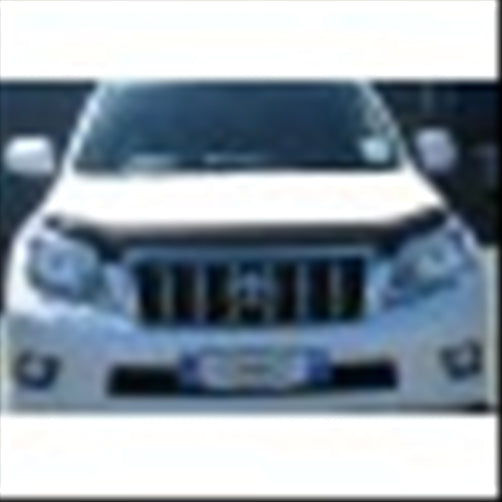 Toyota Prado Bonet guard (Dark Tint)