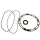 DRIVETECH Pump Leak Kit A440/442 A/M F/Seal