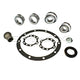 DRIVETECH Differential Overhaul Kit