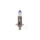 Hella H1 Globe P14.5S Xenon Plus 60 12V 55W C1255XU