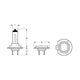 Hella H7 Headlight Bulb 12V Px26D 55W CA1255