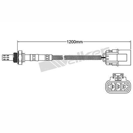 OEX  Oxygen Sensor OOS5010
