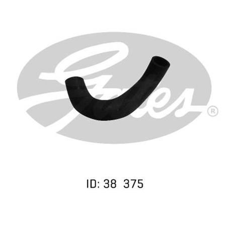 Gates Radiator Hose Lower 05-0021