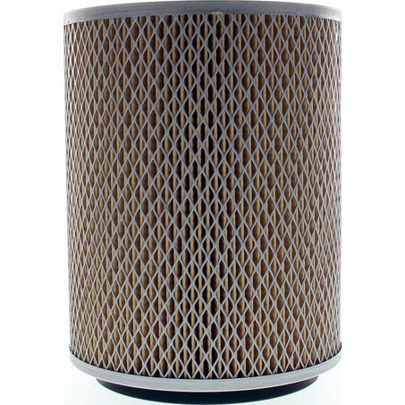 RYCO AIR FILTER - HOLDEN/ISUZU/NISSAN A334