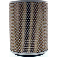 RYCO AIR FILTER - HOLDEN/ISUZU/NISSAN A334