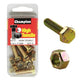 CHAMPION AUTO PARTS Champion Screw & Nut Pack 1in. x 5/16in. UNF BF17