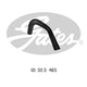 Gates Radiator Hose Lower 05-0347