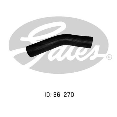 Gates Radiator Hose Lower 05-0884