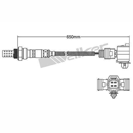 OEX  Oxygen Sensor OOS5384