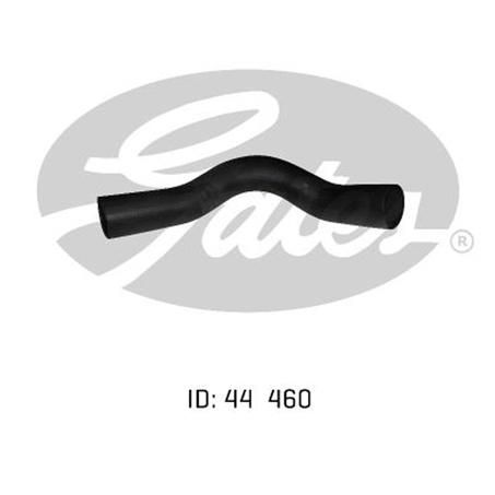 Gates Radiator Hose Lower 05-0243