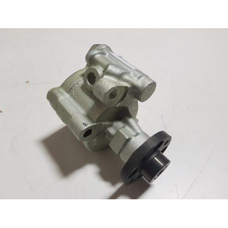 SAS AUTO PARTS SAS New Complete Steering Pump Assembly SP1837
