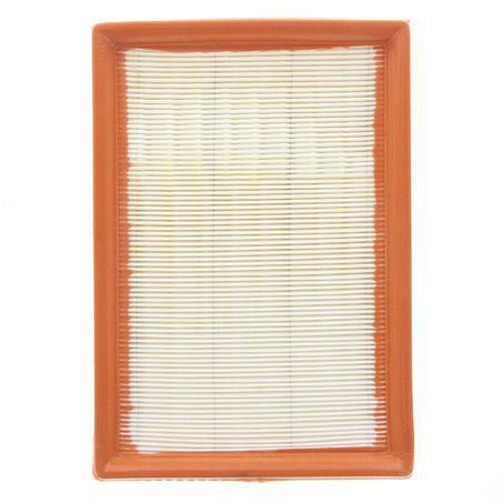 Repco Air Filter RAF651
