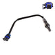 OEX  Oxygen Sensor OOS1335