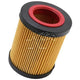 K&N Oil Filter PS-7007