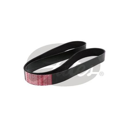 Gates Fan Belt Ribbed 10PK1600