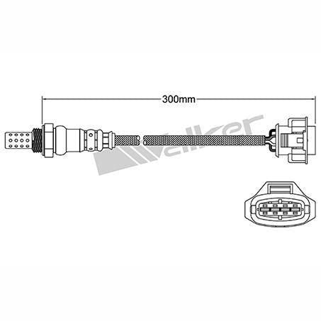OEX  Oxygen Sensor OOS1284