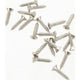 CHAMPION AUTO PARTS Champion Self Tapping Screw Pack 8G x 3/4in. BH156