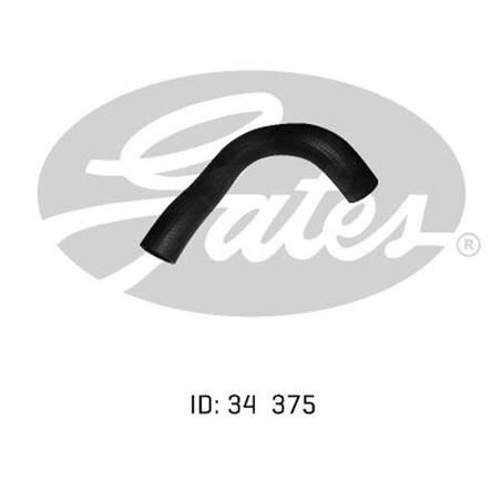 GATES RADIATOR HOSE LOWER 05-0219