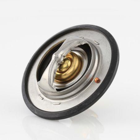 Tridon Thermostat 96 Degrees C TT800-180