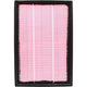 Repco Air Filter RAF247