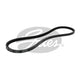 Gates V Drive Belt 13mm Top Width x 1225mm 13A1225