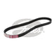 Gates Micro V Belt 4PK560