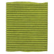 Repco Cabin Air Filter - Anti-Viral RCF719A
