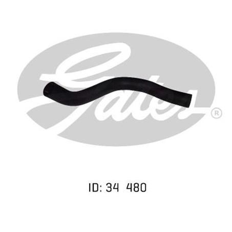 Gates Radiator Hose Lower 05-0536