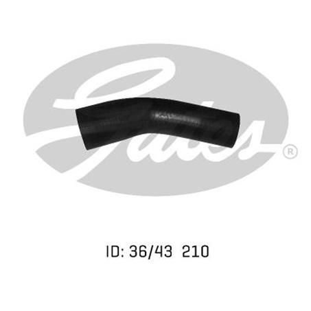 Gates Radiator Hose Lower 05-0938