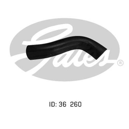 Gates Radiator Hose Lower 05-0886