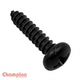 CHAMPION Self Tapping Screws 10G x 3/4in.