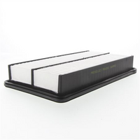 PROSELECT Air Filter