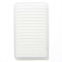 PROSELECT Air Filter
