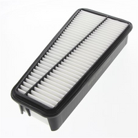 PROSELECT Air Filter
