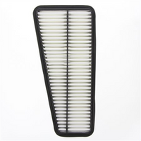 PROSELECT Air Filter