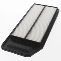 PROSELECT Air Filter