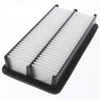 PROSELECT Air Filter