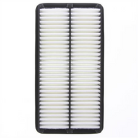 PROSELECT Air Filter