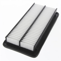 PROSELECT Air Filter
