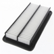 PROSELECT Air Filter
