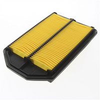 PROSELECT Air Filter