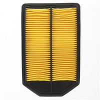 PROSELECT Air Filter