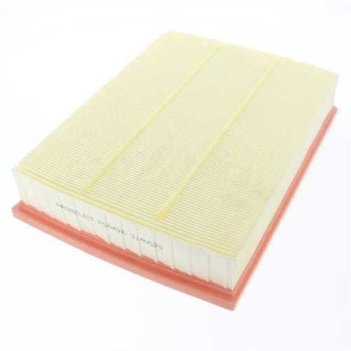 PROSELECT Air Filter